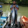 DREAM FISHER