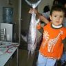 SIRRI