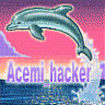 acemi_hacker