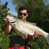 Snoek