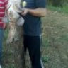 harun22