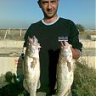 özbay01