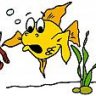 king fish hunter