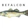 befalcon