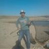 sindon