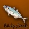 Balıkçı-Çocuk