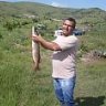 baskentli19