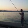 Akarcı