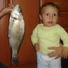 i_levent