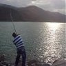 mırmır mania