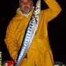 serdargoller
