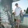 Shark Hunter
