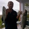 bluefish34