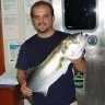 armpa