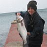 Turkey Fishing Club