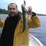 TROUT