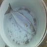 Satelli