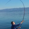 REELMASTER