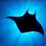 manta-