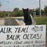 35kalamarcı