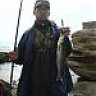 bluefish