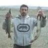 fish Perest