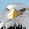 kartal 0943