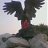 HARUN