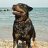 rott