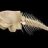 fishbone