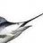 Swordfish