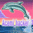acemi_hacker