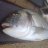 burhan_cnr