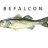 befalcon
