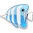 furuko432