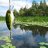 catfish12