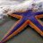 Starfish_