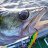 jigging