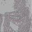 liman