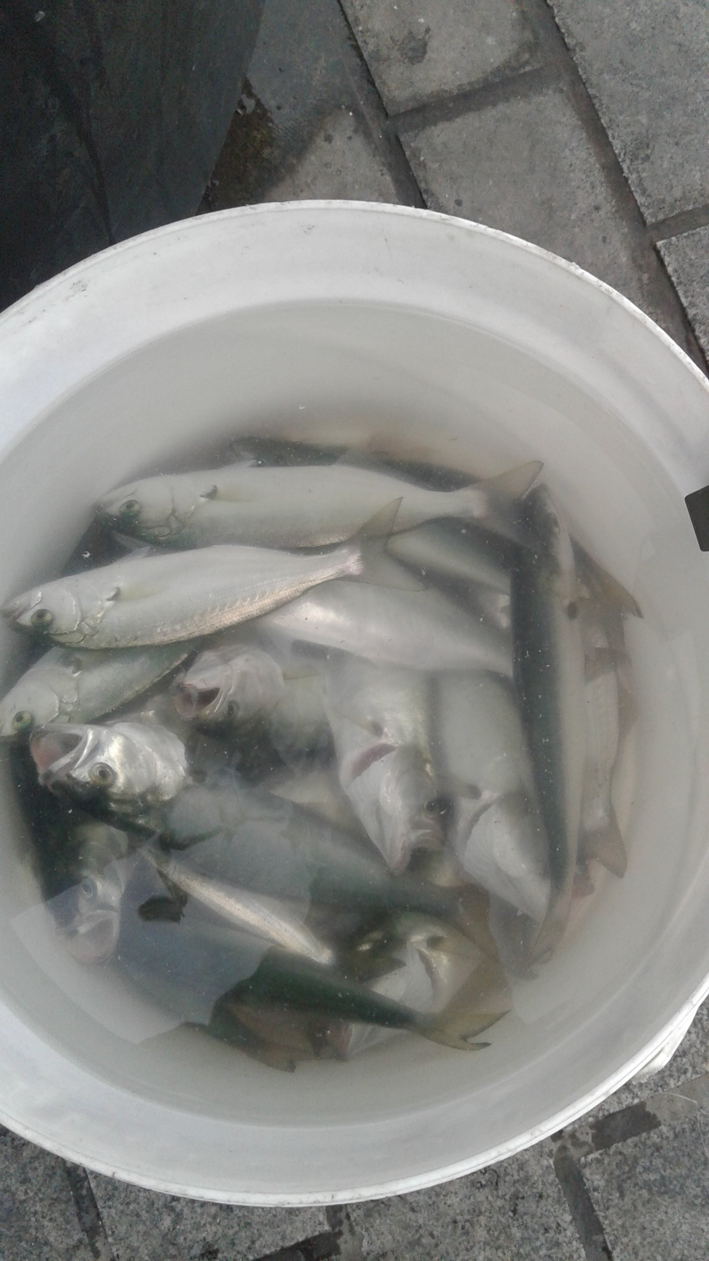 20161227_163841.jpg