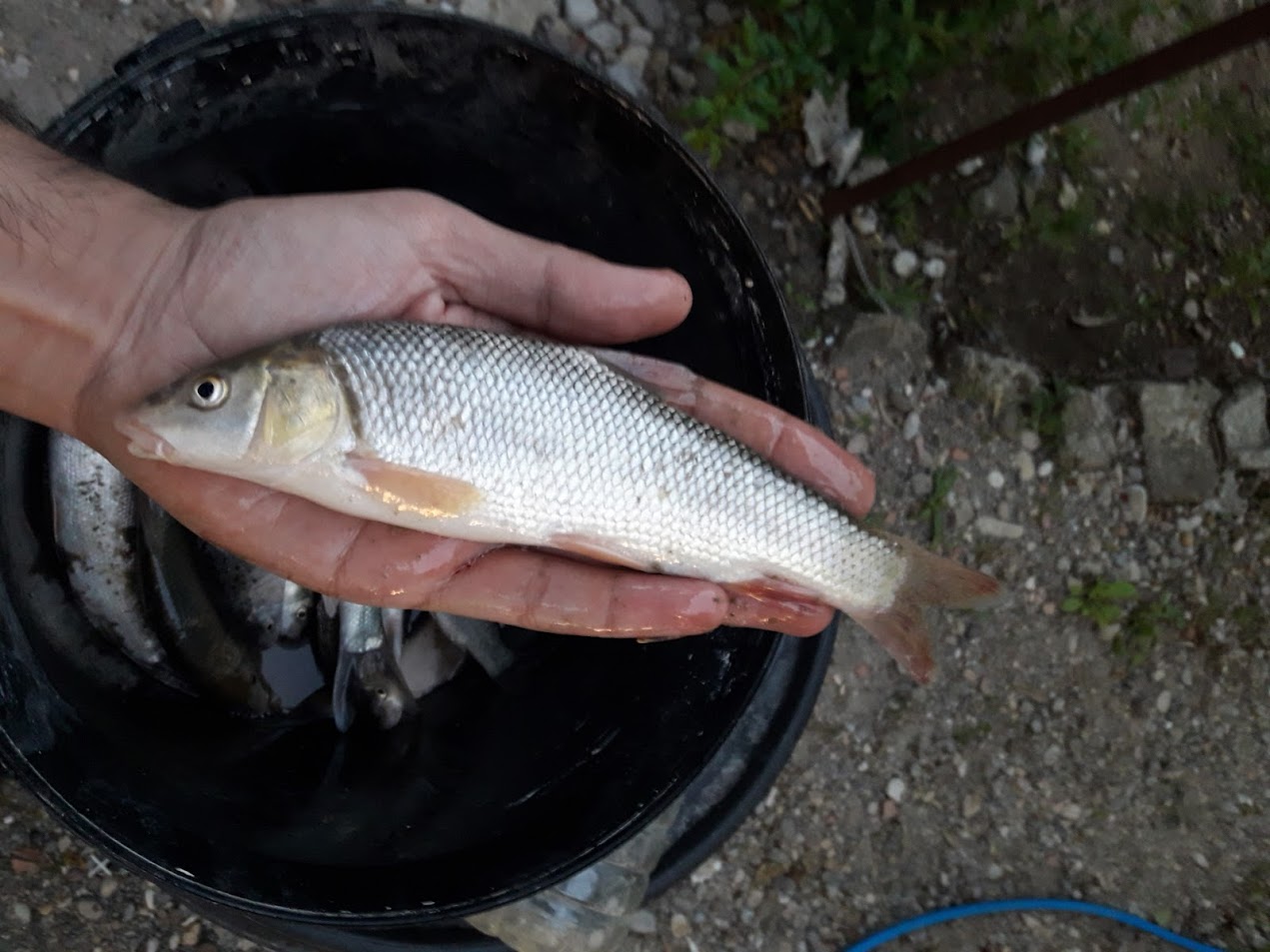 20180404_165108.jpg