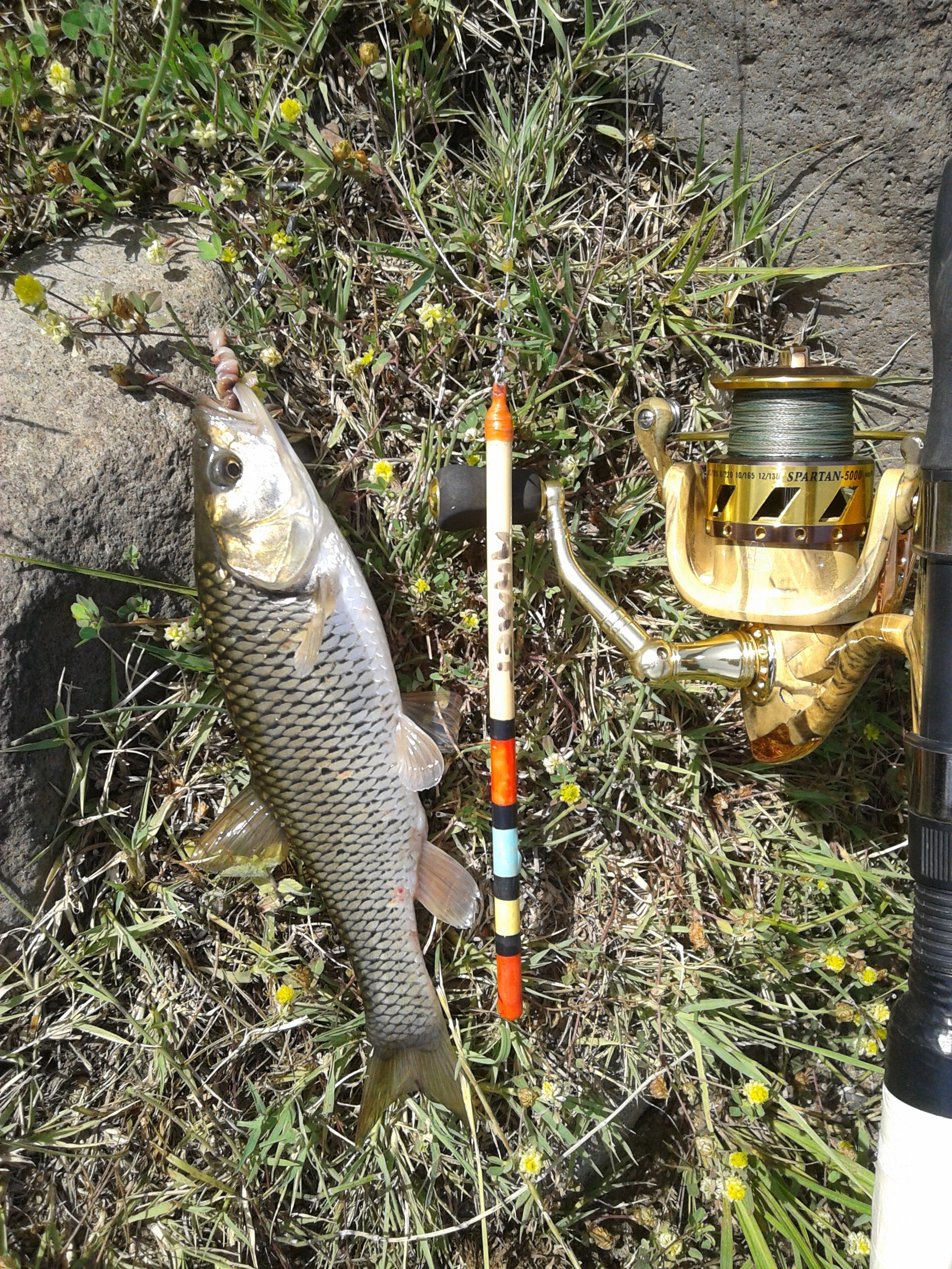 20180521_151813.jpg