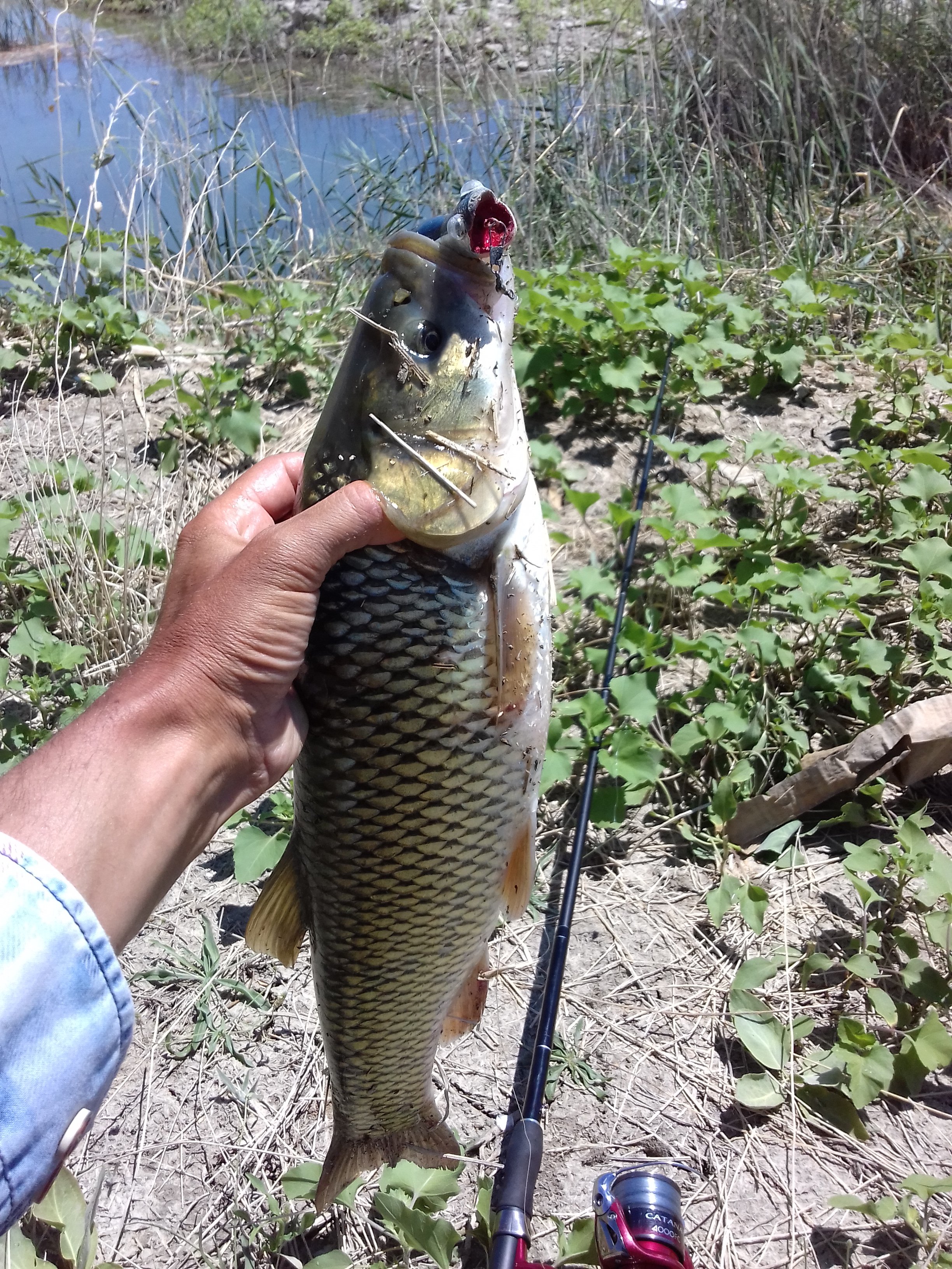 20180717_132225.jpg