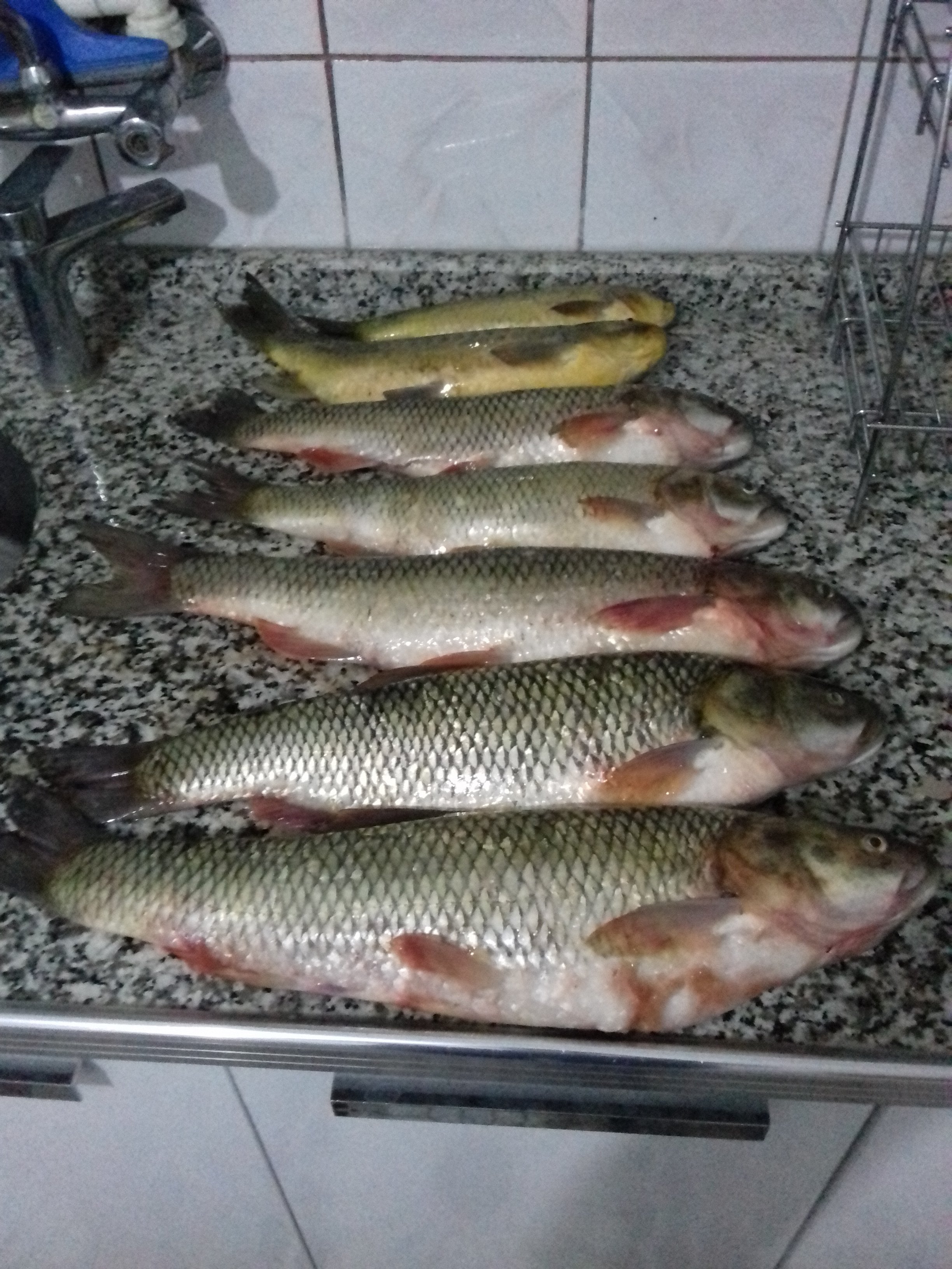 20180717_201107.jpg