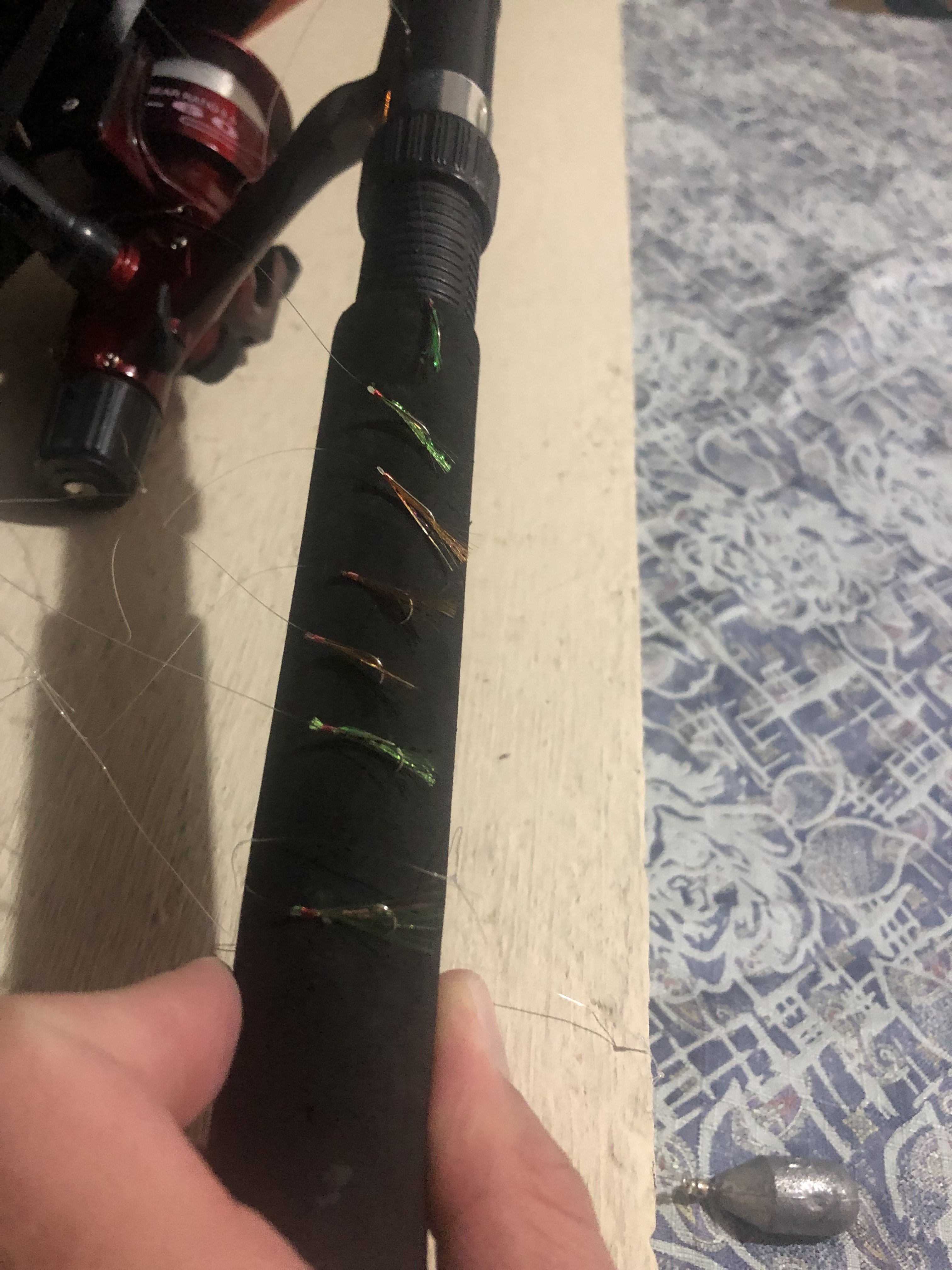 F15047F2-CE6A-4D5A-8256-FC88BBAEEF67.jpeg