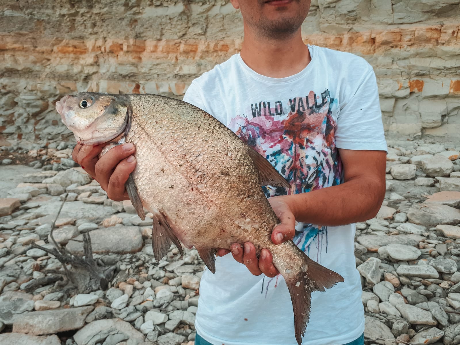 IMG-20180919-WA0036.jpg