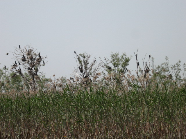 IMG_1358.JPG