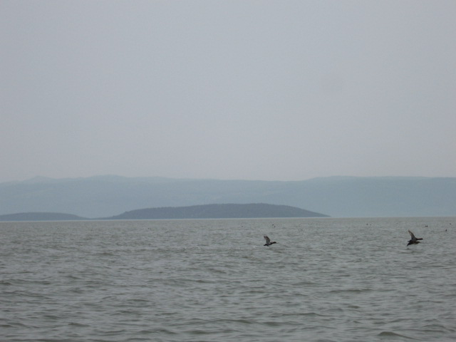 IMG_1369.JPG