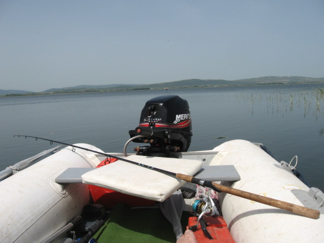 IMG_1372.JPG
