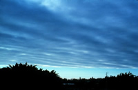 Stratus